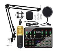 RUHEN Mixeur Audio Professionnel, Microphone Bluetooth sans Fil, karaoké avec Diffusion en Direct, Carte Son DJ10 pour PC, téléphone, Chant, Jeux