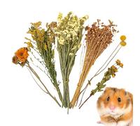 Ruhnjyg Litière de fleurs de foin pour hamster, décoration d'habitat floral | Décoration de cage à thème naturel pour hamster - Accessoires pour cage à gerbilles