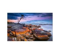 RUHTEUO Fond Aquarium Autocollant de Fond d'aquarium, Affiche, décoration, Papier Peint Autocollant, arrière-Plan(40x80cm)