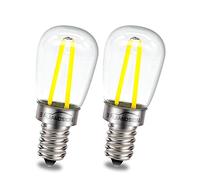 Ruiandsion Ampoule LED E12 220V AC Blanc 2SMD Ampoule de remplacement pour bougies, plafonniers et lampes décoratives (lot de 2)