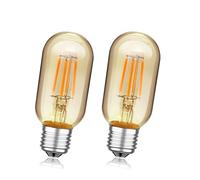 Ruiandsion Ampoule LED E27 Dimmable 2200K, 12-24V pour suspension bricolage, applique de home cinéma, éclairage d'étagère flottante, Lot de 2