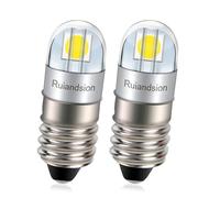 Ruiandsion E10 Ampoule LED 3030 2SMD Puce 6V Sans Polarité 200LM Blanc Chaud Ampoule LED de Rechange pour Lampe de Poche Torche Lumière de Travail Paquet de 2