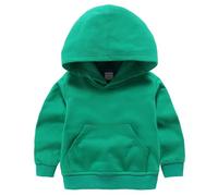 RUIBETYHUA Pullover pour enfants pour garçons et filles en coton décontracté avec poches, sweat à capuche à manches longues, âge 1-7 ans, vert, 2-3 Jahre