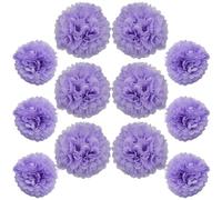 Ruidee Lot de 12 pompons en papier de soie à suspendre - 25,4 cm et 30,5 cm - Boules de fleurs en papier coloré pour décoration de fête et de mariage (violet clair)