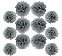 Ruidee Lot de 12 pompons en papier de soie à suspendre - 25,4 cm et 30,5 cm - Boules de fleurs en papier de couleur pour décoration de fête et de mariage (ZH/gris)