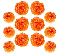 Ruidee Lot de 12 pompons en papier de soie à suspendre de 25,4 cm et 30,5 cm pour décoration de fête, mariage (ZH/orange)