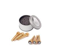 RuiJOTWAT Chevilles de chevalet en laiton pour guitare acoustique, laiton/coquille d'ormeau