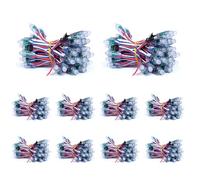 ruimeimei DC12V 500PCS 12MM WS2811 RGB Full Color Pixels Digital Adressable LED String Waterproof Outdoor Publicité