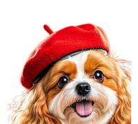 RUINBNC Bérets pour animaux de compagnie, couvre-chefs pour diverses occasions, festivals, événements, rassemblements pour chiens, chats, bérets pour animaux de compagnie