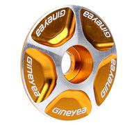 ruiruiNIE Bouchon de Tige supérieure de Casque pour vélo, Aluminium sans Fil Route VTT vélo Tige Accessoires Casque Couvercle supérieur