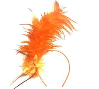 RUITOTP Bandeau à Plumes Colorées Bandeau Fascinator à Plumes Serre-Tête Bibi à Plumes Serre-Têtes à Plumes des Années 20 pour Cosplay Costume Carnaval Fête Halloween Pâques