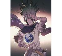 RUIYANMQ Casse-Tête en Bois 1000 Pièces Japonais Anime Dr Stone Poster Jouets Adultes Jeu De Décompression Cadeau Df90Pq
