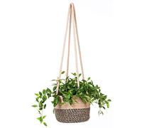 ruizhixuan Panier de Fleurs à Suspendre en Corde de Jute tissée pour intérieur jusqu'à 17,8 cm - Organiseur de Rangement Moderne pour décoration d'intérieur (Jute)