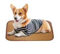 Rukjmqi Tapis Rafraîchissant pour Chien | Frais pour Chien et Animal de Compagnie | Couverture en Paille Naturelle pour Chiots à Grands Chiens, Accessoires d'Intérieur et Extérieur pour Été