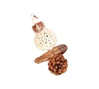 Rulbelok Jouet interactif pour perroquets avec fruits à mâcher en bois et rouleau d'herbe pour soulager l'ennui des perroquets, accessoires de cage pour perroquets