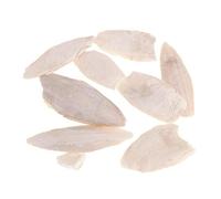 Ruluti 1 Bag Bird Desalting Cuttlebone Toy Cuttlefish Sepia Bone Training Chew Molar Toy for Parrot