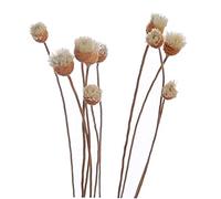 Ruluti 20 pcs/Ensemble Diffuseur Bâtons de rotin Bud Bud Butt Rose Remplacement Remuer Robinet Sticks pour Diffuseur d'huile Essential pour la Chambre à Coucher Chambre à Coucher Salle de Bains