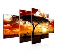 Runa Art Afrique Le Coucher Du Soleil Tableau Murale Impression sur Toile Intissee 5 Parties Panorama Orange Chambre Salle 001553c