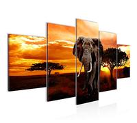 Runa Art Afrique L'Éléphant Tableau Murale Impression sur Toile Intissee 5 Parties Africain Motif Orange Chambre Salle 001253a