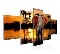 Runa Art Afrique L'Éléphant Tableau Murale Impression sur Toile Intissee 5 parties Panorama Savane Orange Chambre Salle 001953a
