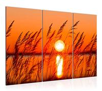 Runa Art Le Coucher Du Soleil Paysage Peinture Tableau Salon XXL Orange Graminées La Nature 120 x 80 cm 3 Parties Decoration Murale 603231a