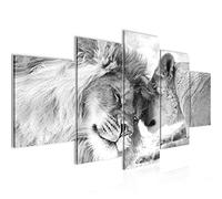 Runa Art Les Lions Amour Tableau Murale Impression sur Toile Intissee 5 Parties Les Lions Famille Noir Et Blanc Chambre Salle 002153c
