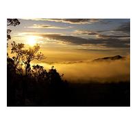 Runa Art Papier peint intissé 396 x 280 cm Afrique coucher du soleil | Toison Décoration Murale Salon Chambre á Coucherr | Fabrication Allemande | noir jaune 9032012b