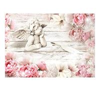 Runa Art Papier peint intissé 396 x 280 cm Fleurs Pivoine Ange | Toison Décoration Murale Salon Chambre á Coucherr | Fabrication Allemande | rose 9392012b