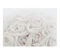 Runa Art Papier peint intissé 396 x 280 cm fleurs roses | Toison Décoration Murale Salon Chambre á Coucherr | Fabrication Allemande | grise 9258012c