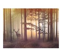 Runa Art Papier peint intissé 396 x 280 cm Forêt brouillard cerf | Toison Décoration Murale Salon Chambre á Coucherr | Fabrication Allemande | chamois 9338012c