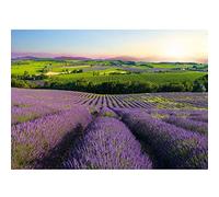 Runa Art Papier peint intissé 396 x 280 cm Provence Paysage Nature | Toison Décoration Murale Salon Chambre á Coucherr | Fabrication Allemande | vert Beige 9022012b