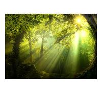 Runa Art Papier peint intissé 396 x 280 cm soleil forêt | Toison Décoration Murale Salon Chambre á Coucherr | Fabrication Allemande | vert 9102012a