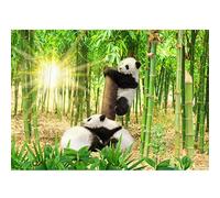 Runa Art Papier peint intissé Animaux bambou Panda 352 x 250 cm Toison Mur XXL Tableaux Muraux Tapisserie Photo Décoration Murale Salon Chambre Vert Noir et Blanc 9332011a