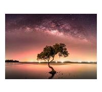 Runa Art Papier peint intissé Aurore boréale Arbre Ciel nocturne 352 x 250 cm Toison Mur XXL Tableaux Muraux Tapisserie Photo Décoration Murale Salon Chambre Orange 9590011b