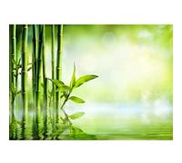 Runa Art Papier peint intissé bambou 352 x 250 cm Toison Mur XXL Tableaux Muraux Tapisserie Photo Décoration Murale Salon Chambre vert 9473011a