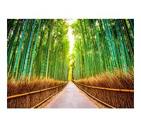 Runa Art Papier peint intissé bambou forêt 352 x 250 cm Toison Mur XXL Tableaux Muraux Tapisserie Photo Décoration Murale Salon Chambre vert 9009011c