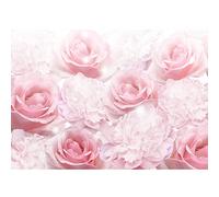Runa Art Papier peint intissé fleurs roses 352 x 250 cm Toison Mur XXL Tableaux Muraux Tapisserie Photo Décoration Murale Salon Chambre rose 9413011a