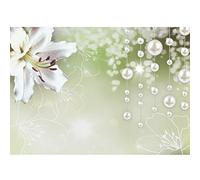 Runa Art Papier peint intissé Floral Lily Perle 352 x 250 cm Toison Mur XXL Tableaux Muraux Tapisserie Photo Décoration Murale Salon Chambre vert 9330011a