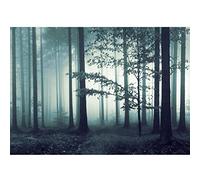 Runa Art Papier peint intissé forêt brouillard 352 x 250 cm Toison Mur XXL Tableaux Muraux Tapisserie Photo Décoration Murale Salon Chambre turquoise 9291011b