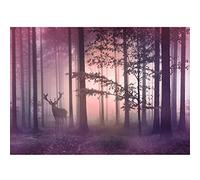 Runa Art Papier peint intissé Forêt brouillard cerf 352 x 250 cm Toison Mur XXL Tableaux Muraux Tapisserie Photo Décoration Murale Salon Chambre rose-mauve 9338011b