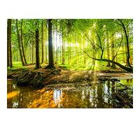 Runa Art Papier peint intissé forêt ruisseau 352 x 250 cm Toison Mur XXL Muraux Tapisserie Photo Décoration Murale Salon Chambre vert marron 9141011a