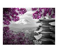 Runa Art Papier peint intissé Japon 352 x 250 cm Laine papier peint Salon Chambre Bureau Couloir décoration Peinture murale décor mural moderne - 100% FABRIQUÉ EN ALLEMAGNE - 9242011b