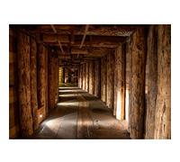 Runa Art Papier peint intissé Mine de bois 3D 352 x 250 cm Toison Mur XXL Tableaux Muraux Tapisserie Photo Décoration Murale Salon Chambre marron 9003011c