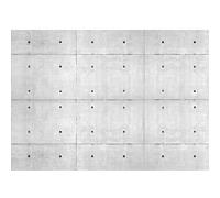 Runa Art Papier peint intissé mur en béton 352 x 250 cm Toison Mur XXL Tableaux Muraux Tapisserie Photo Décoration Murale Salon Chambre grise 9274011a