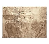 Runa Art Papier peint intissé Mural Egypte Pharaon Moderne Toison Salon Chambre à Coucherr Salle - Tableaux Muraux Tapisserie Photo - marron 9136010a