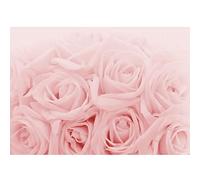 Runa Art Papier peint intissé Mural fleurs roses Moderne Toison Salon Chambre à Coucherr Salle - Tableaux Muraux Tapisserie Photo - rose 9258010a