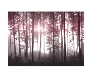 Runa Art Papier peint intissé Mural Oiseaux Fog Forêt Moderne Toison Salon Chambre à Coucherr Salle - Tableaux Muraux Tapisserie Photo - rose 9326010c