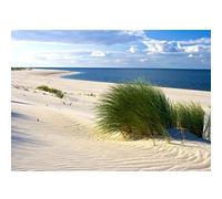 Runa Art Papier peint intissé Mural Plage et mer Moderne Toison Salon Chambre à Coucherr Salle - Tableaux Muraux Tapisserie Photo - Beige Bleu Vert 9008010c