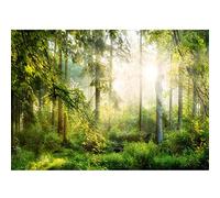 Runa Art Papier peint intissé Mural soleil forêt Moderne Toison Salon Chambre à Coucherr Salle - Tableaux Muraux Tapisserie Photo - Vert jaunâtre 9176010a