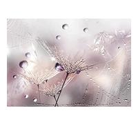 Runa Art Papier peint intissé Pissenlit 352 x 250 cm Toison Mur XXL Tableaux Muraux Tapisserie Photo Décoration Murale Salon Chambre rose 9557011b